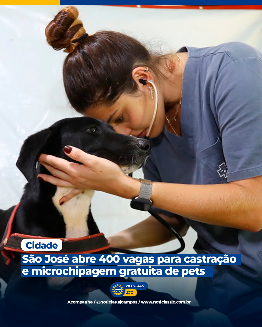 São José abre 400 vagas para castração e microchipagem gratuita de pets