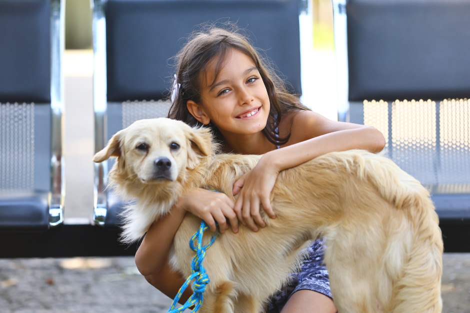 São José realiza primeira feira itinerante de adoção de cães e gatos neste sábado (4)