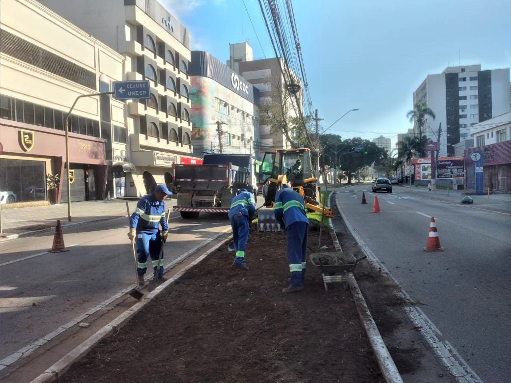 Prefeitura inicia requalificação do canteiro central da Avenida Nelson D’Ávila
