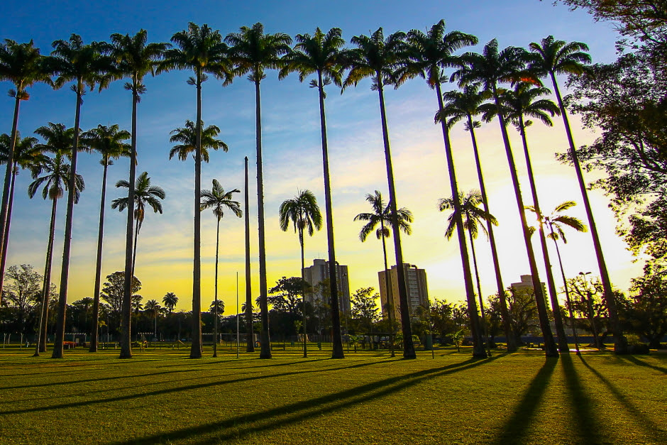 Cine Sustentável promove cinema gratuito ao ar livre no Parque da Cidade nesta sexta (28)